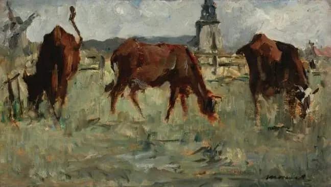 Cows in Pasture