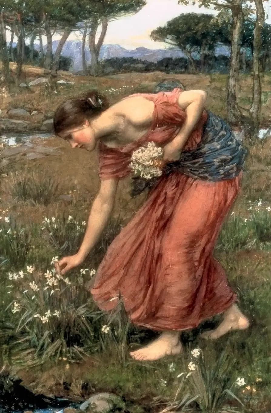 Narcissus