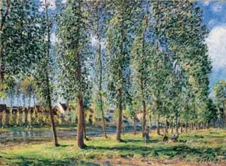 The Poplar Row at Moret