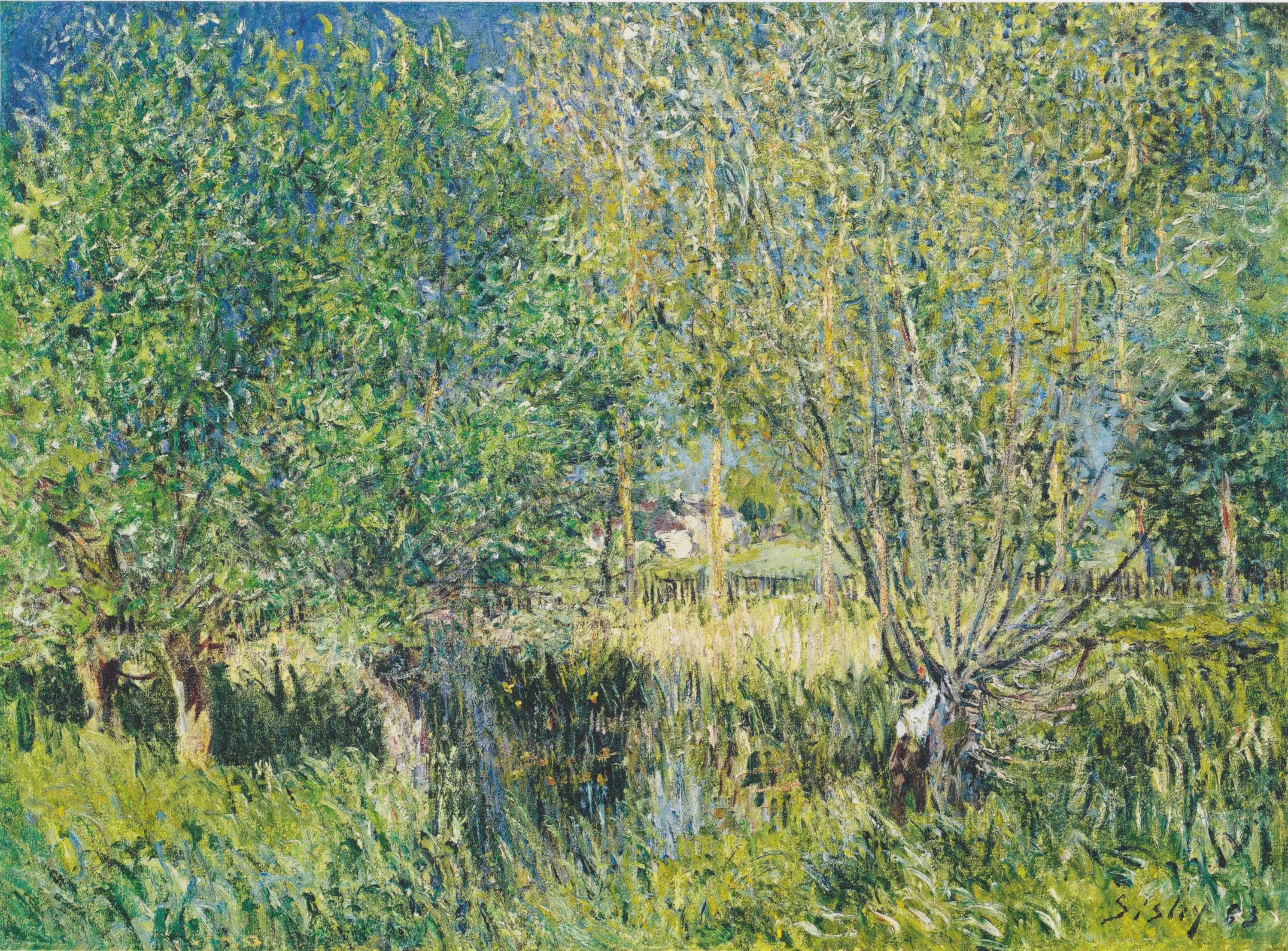 Willows on the Orvanne