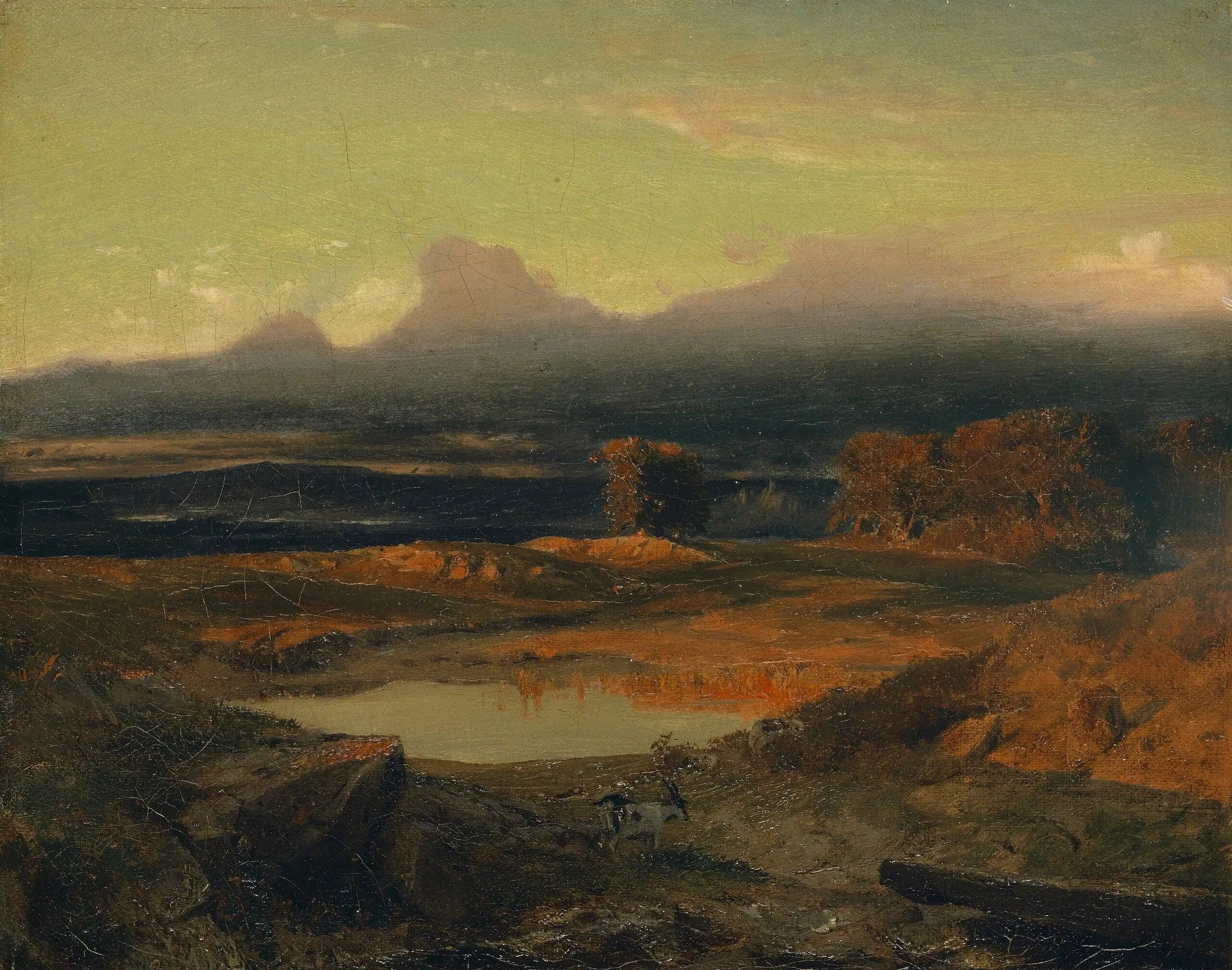 Sunset Landscape
