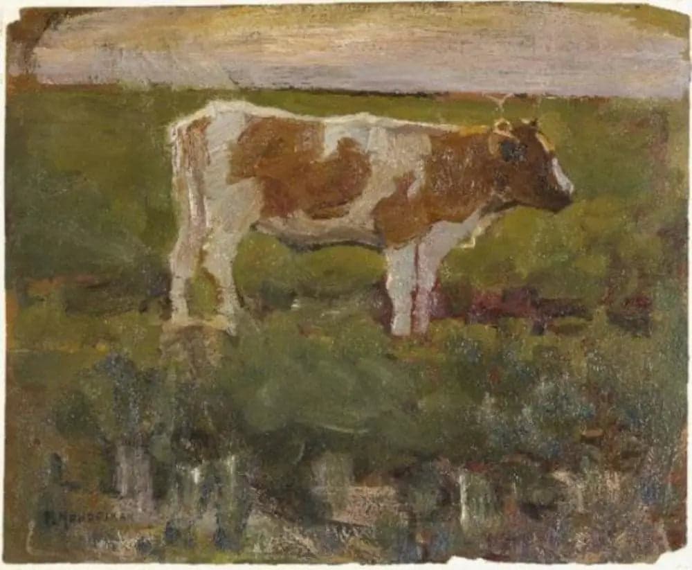 Brown and White Heifer
