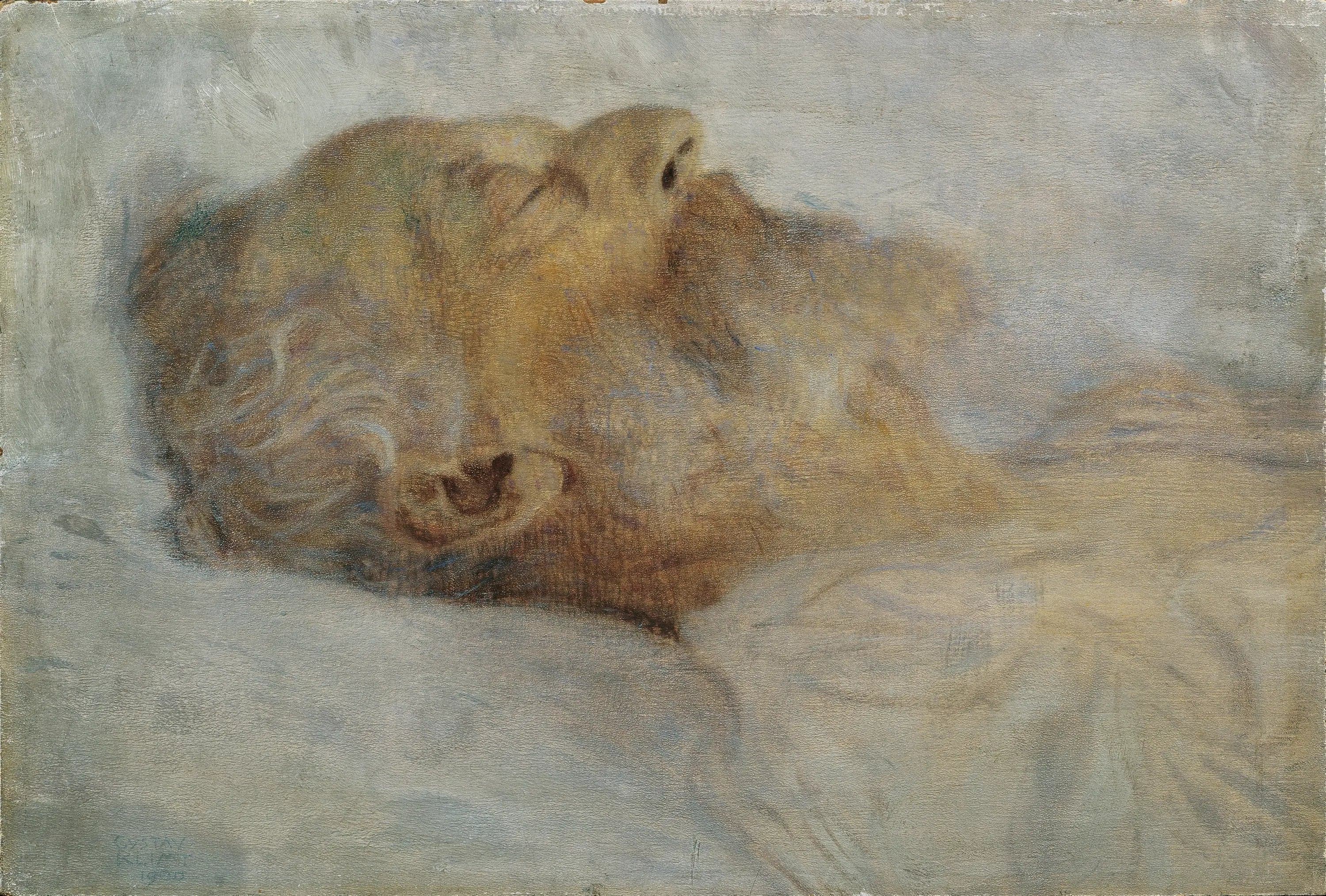 Old Man on His Deathbed
