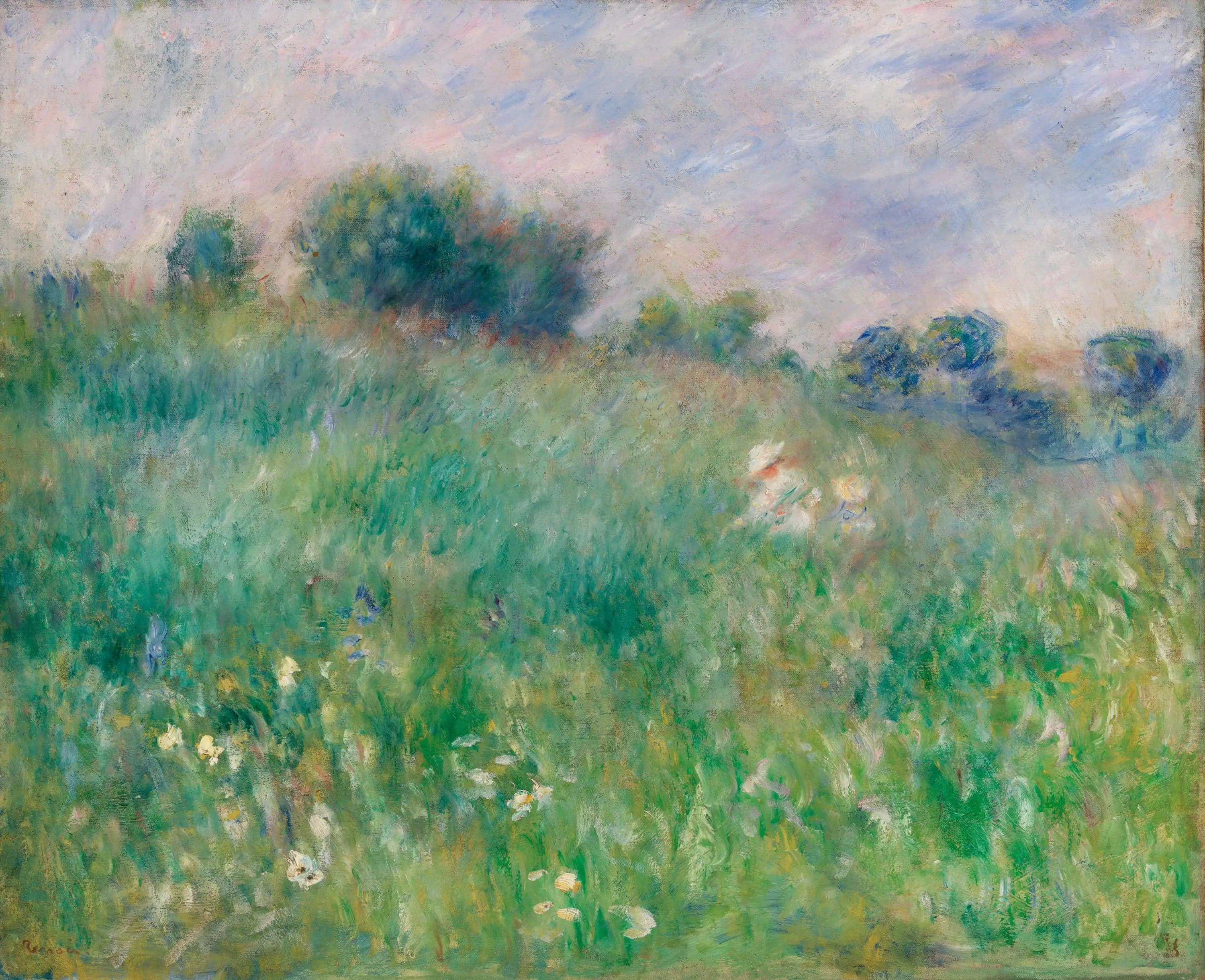 The Meadow - Pierre