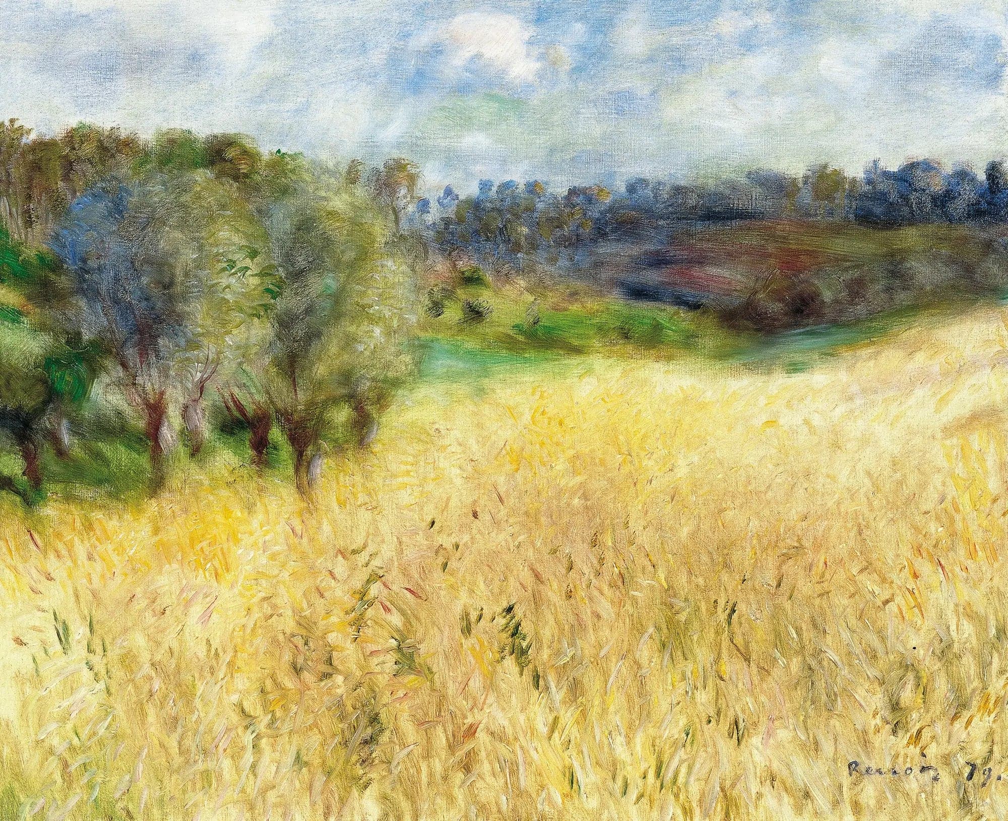Wheat Field - Pierre
