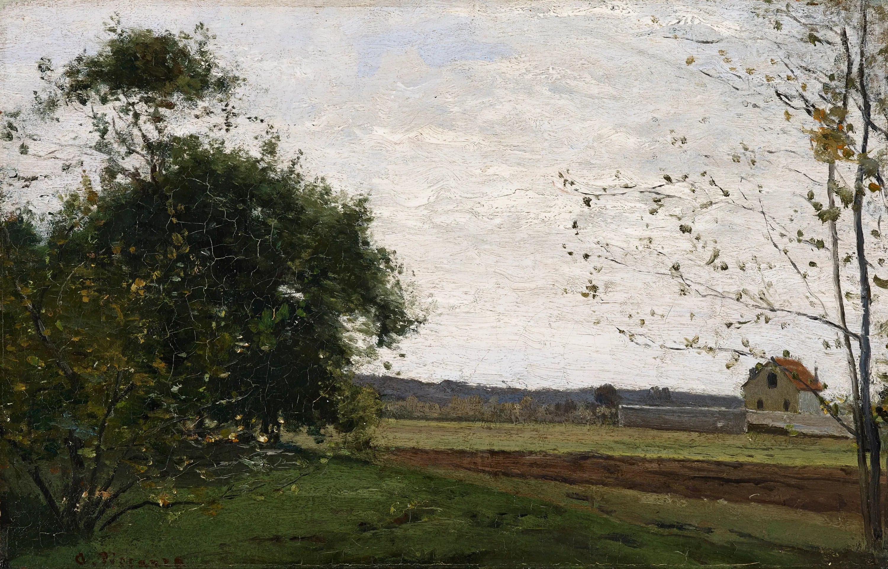 Landscape