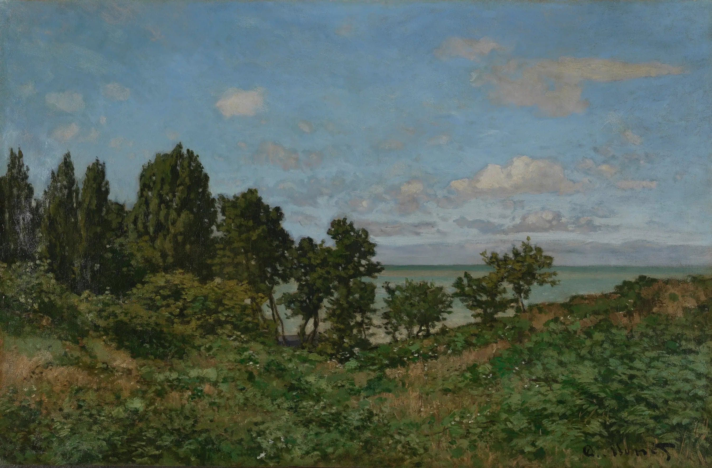 Coastal Landscape