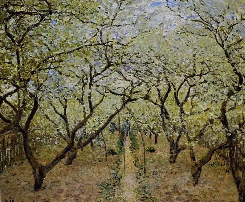 Orchard in Bloom