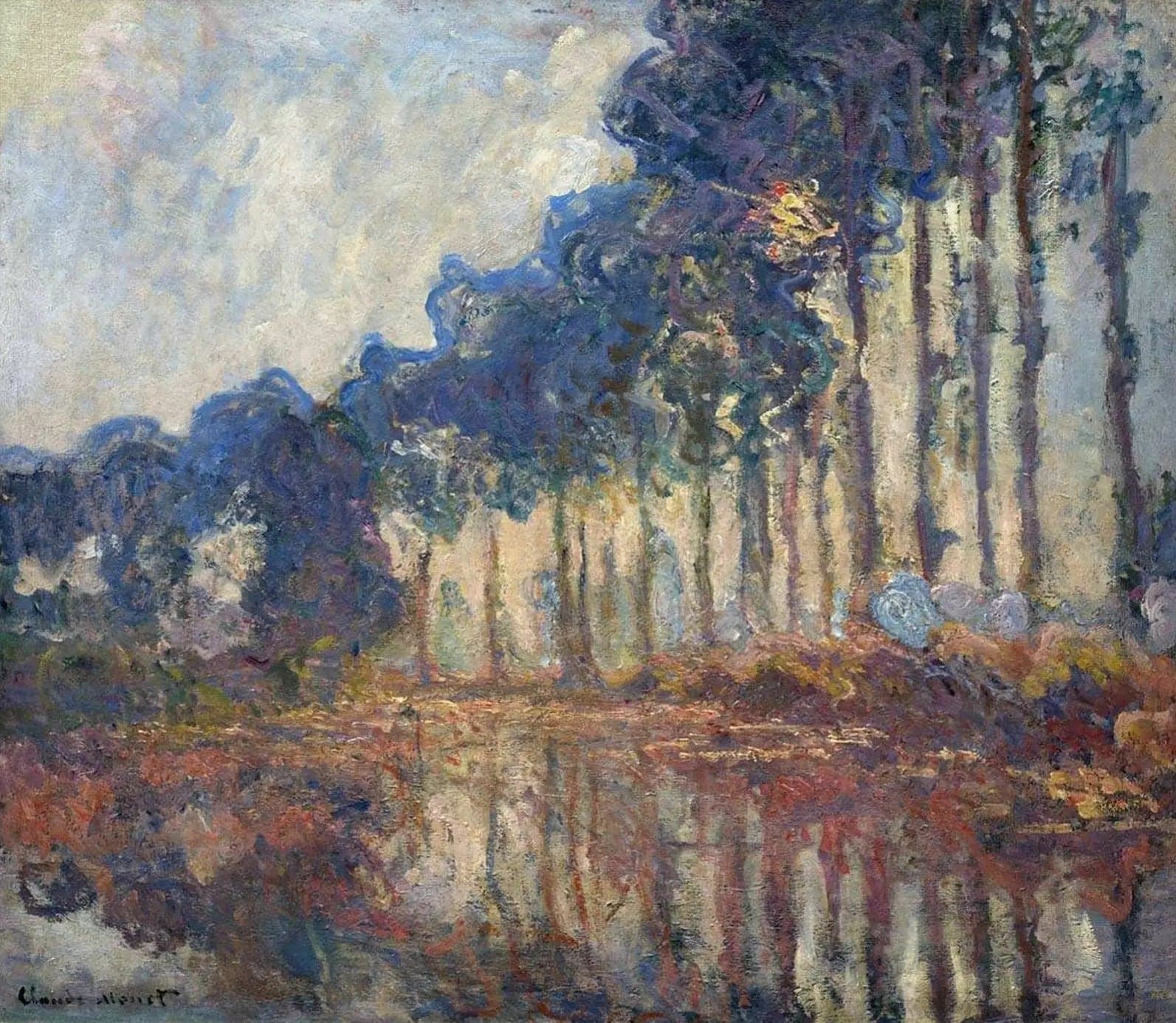 Poplars, autumn