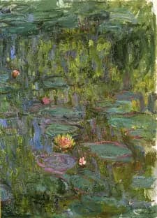 The Water Lilies