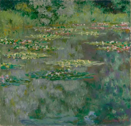 The Water Lilies Pond