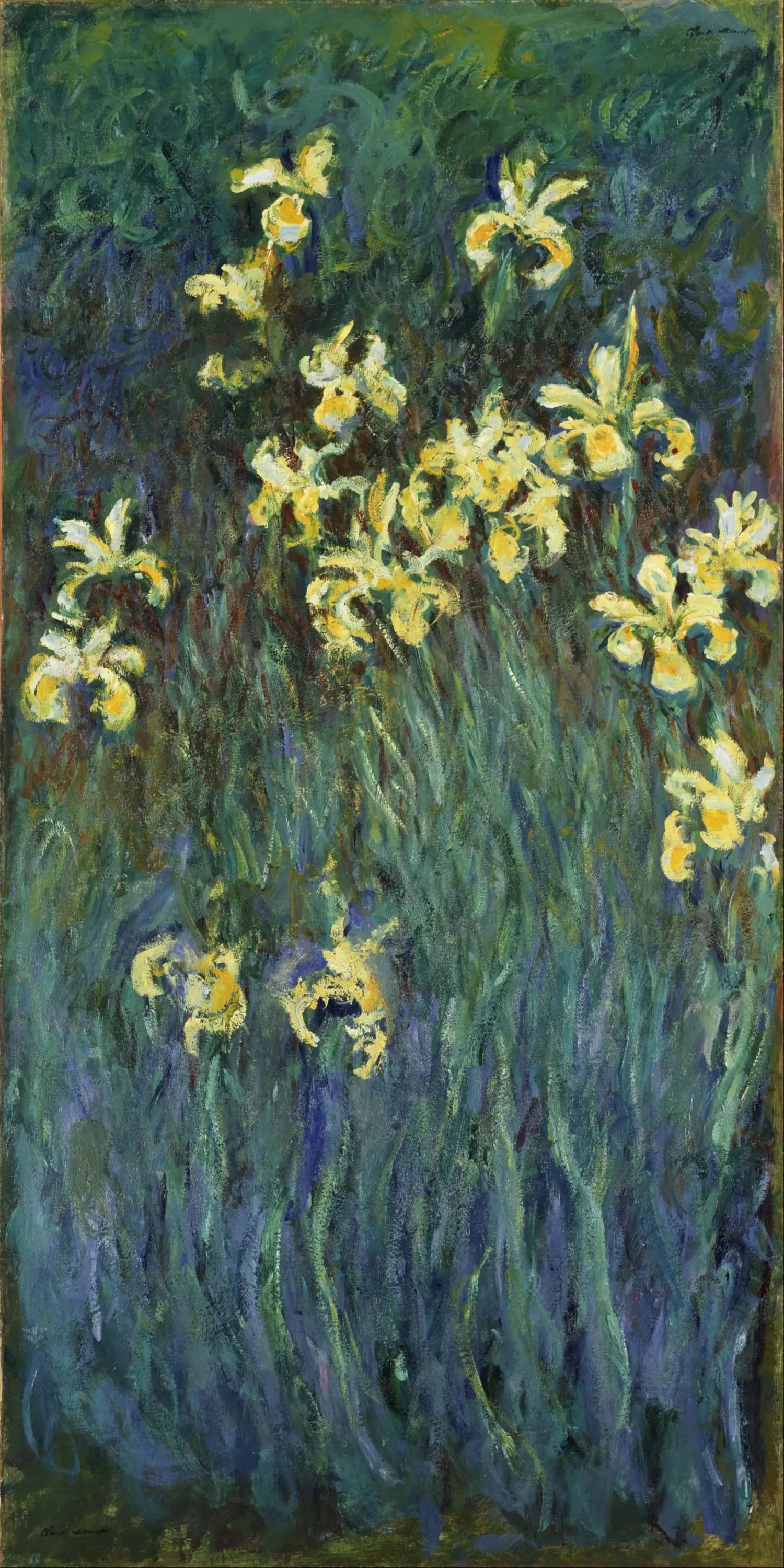 The Yellow Irises