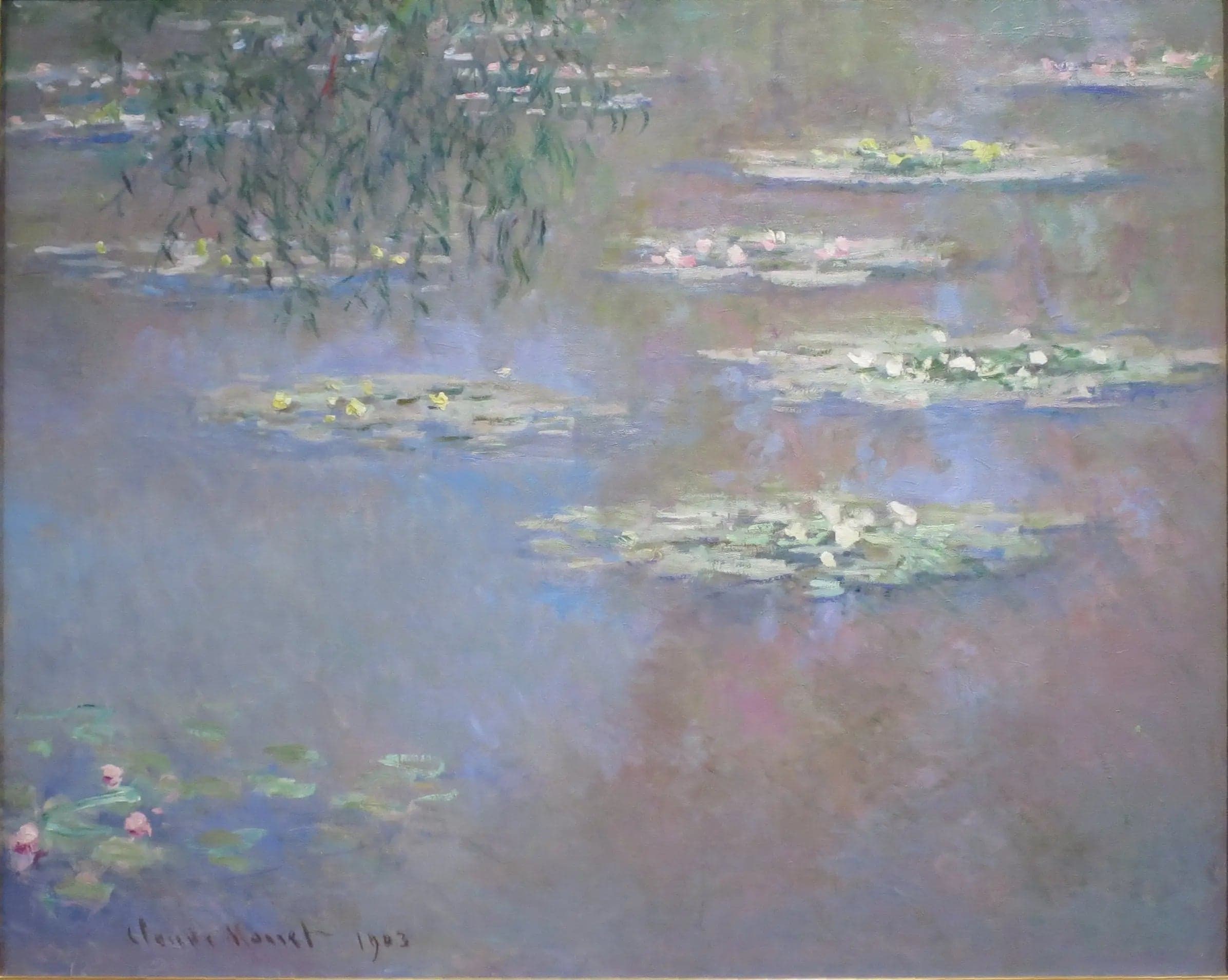 Water Lilies