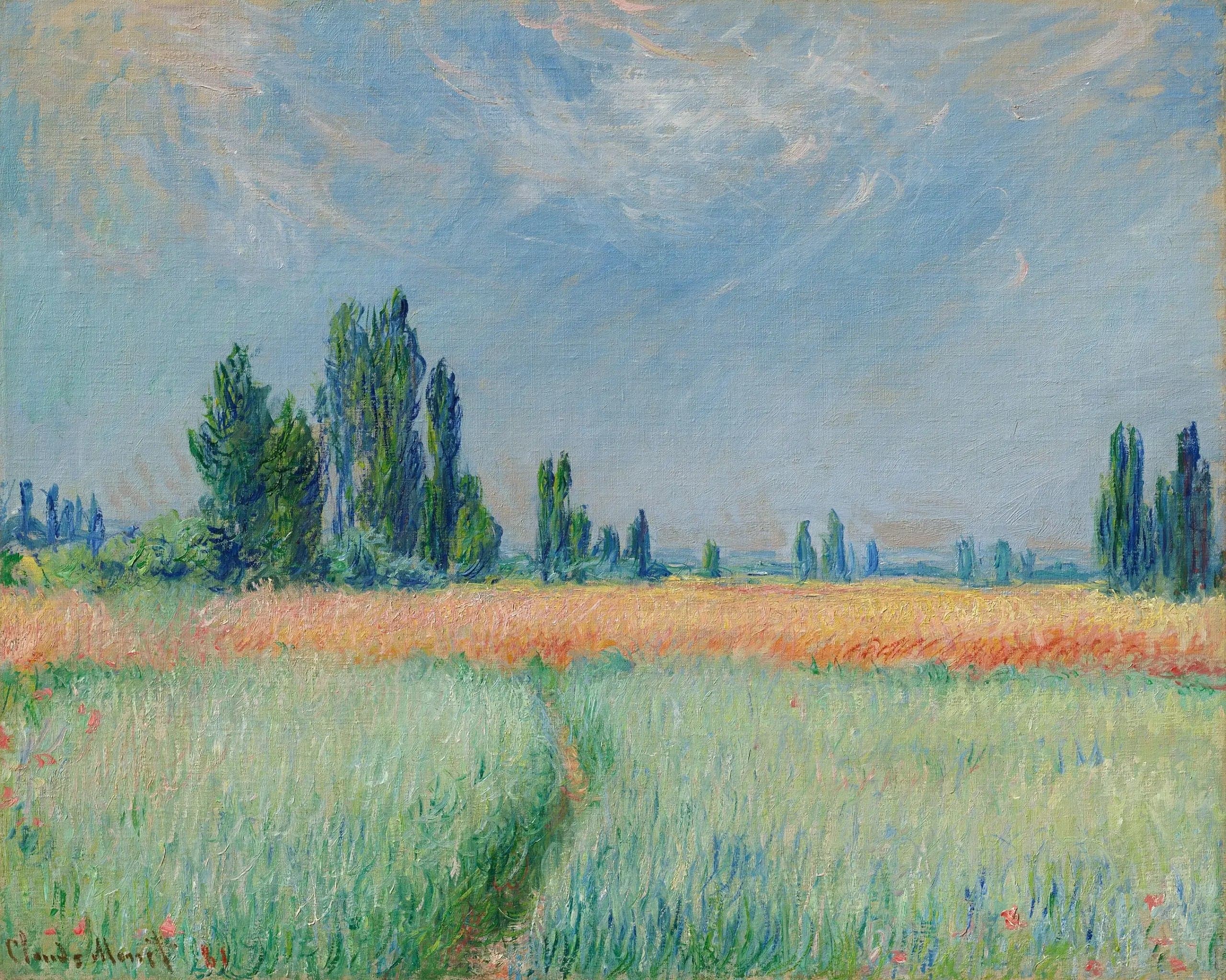 Wheat Field