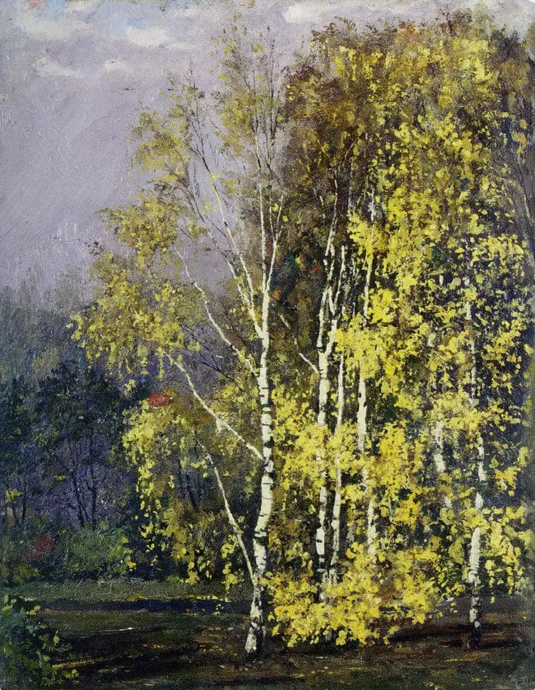 Birches in Autumn