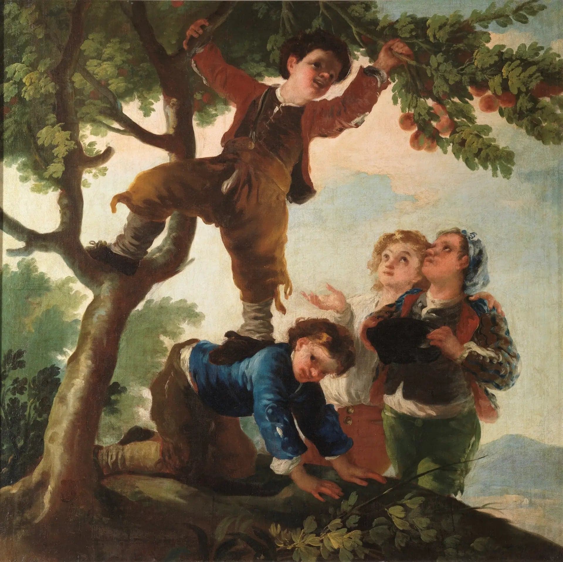 Boys Picking Fruits