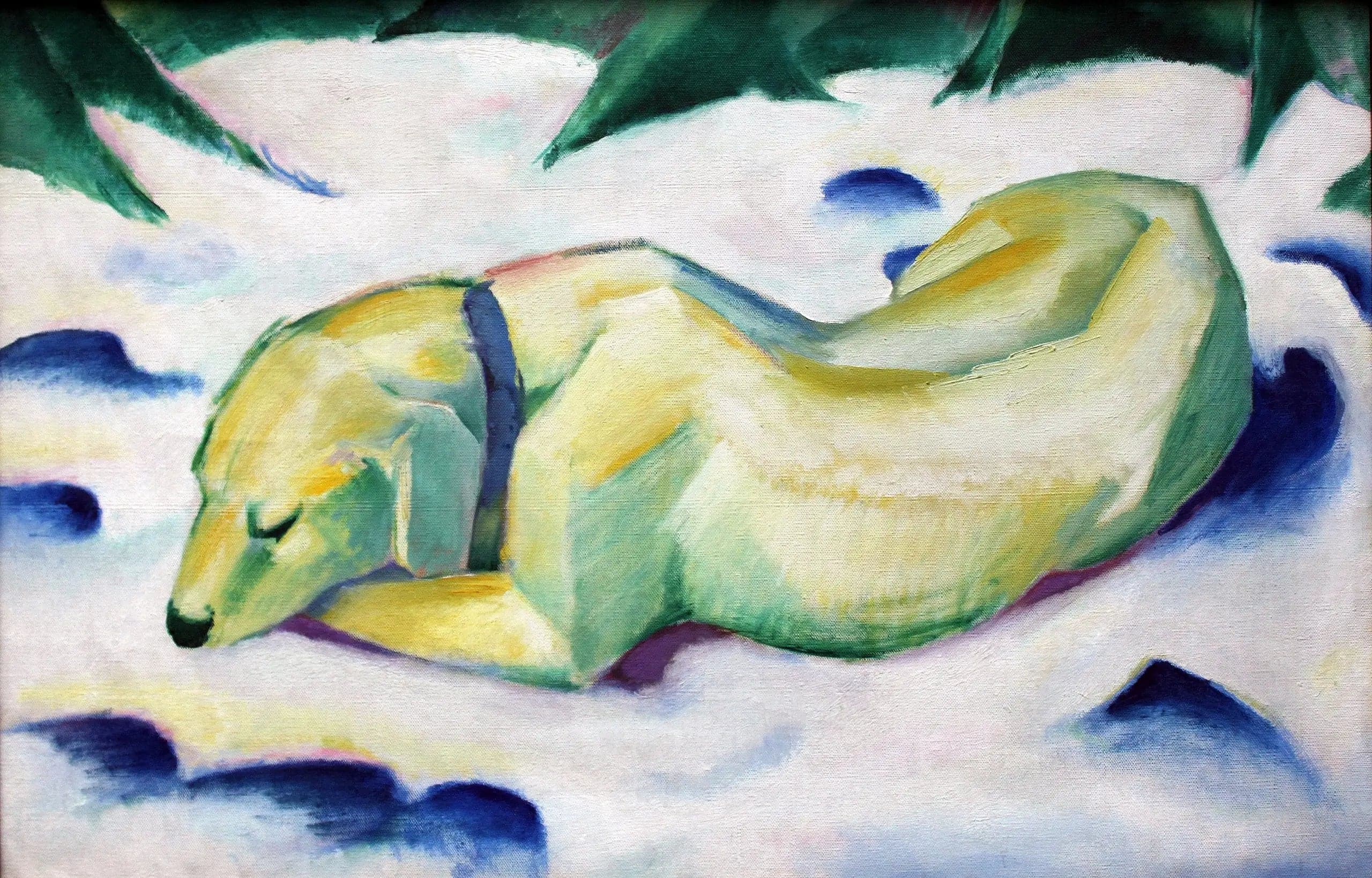 Dog Lying in the Snow