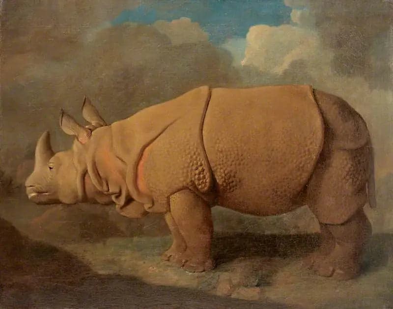 Rhinocéros