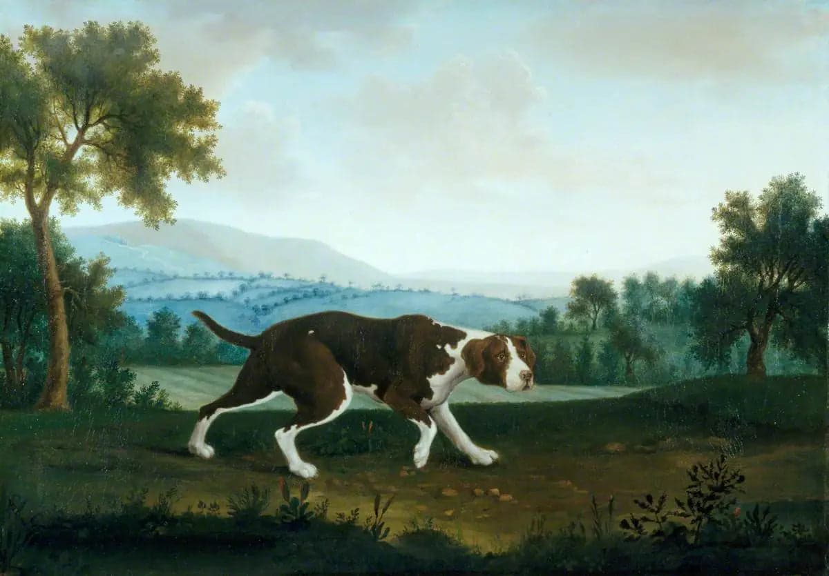 The Spanish Pointer