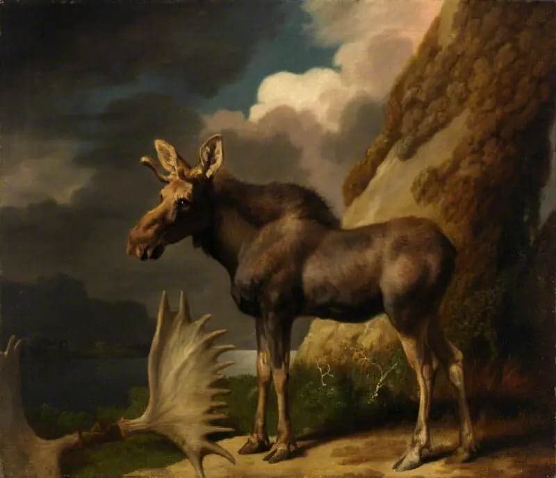 The Stag