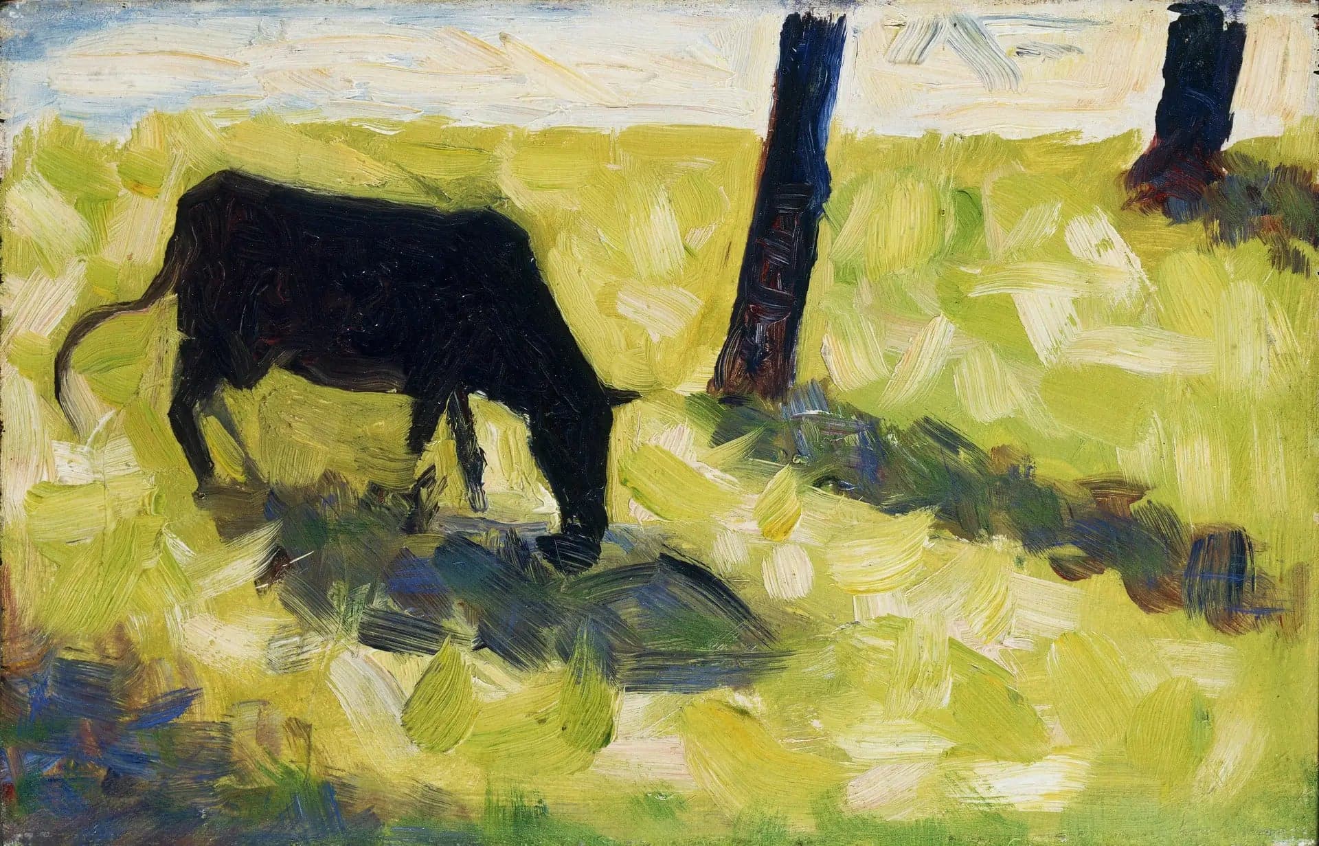 Black Cow in a Meadow