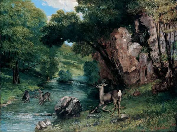 Deer in a Stream