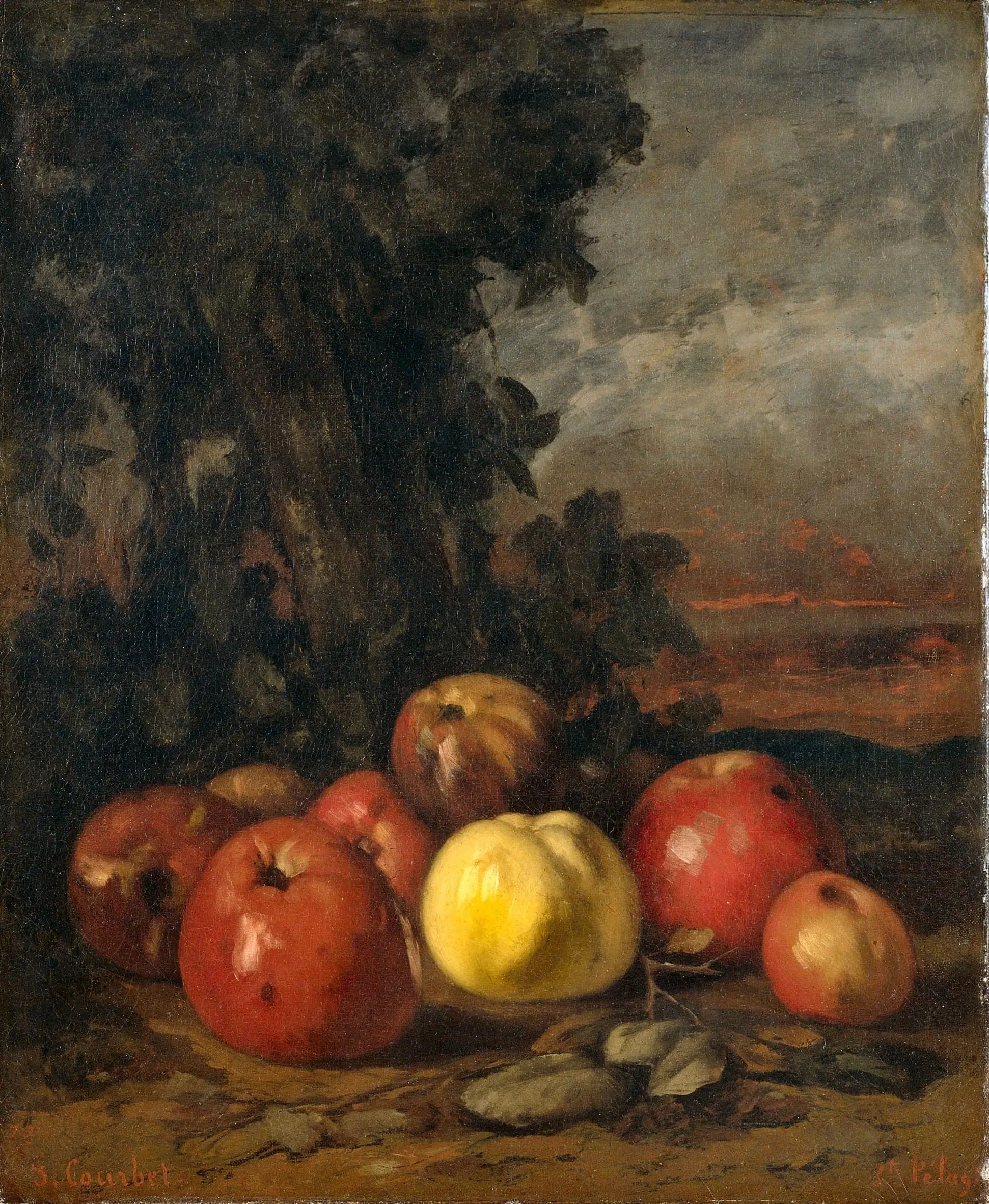 Still Life with Apples