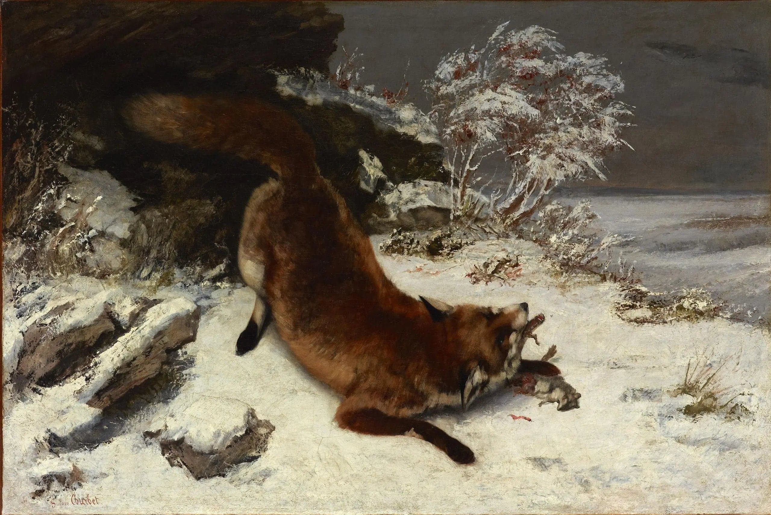 The Fox in the Snow