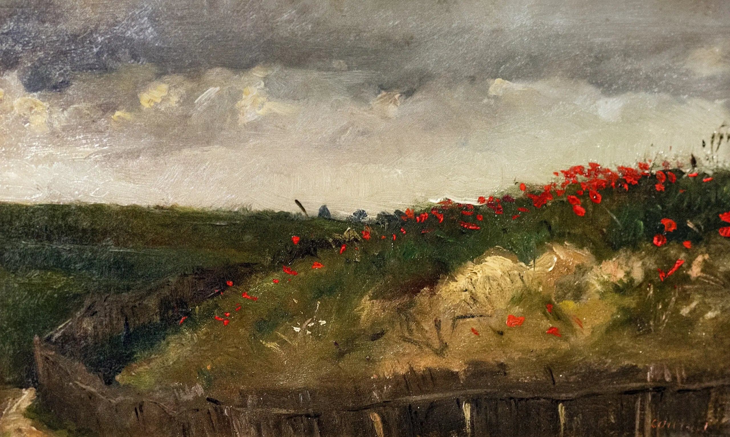 The Poppies
