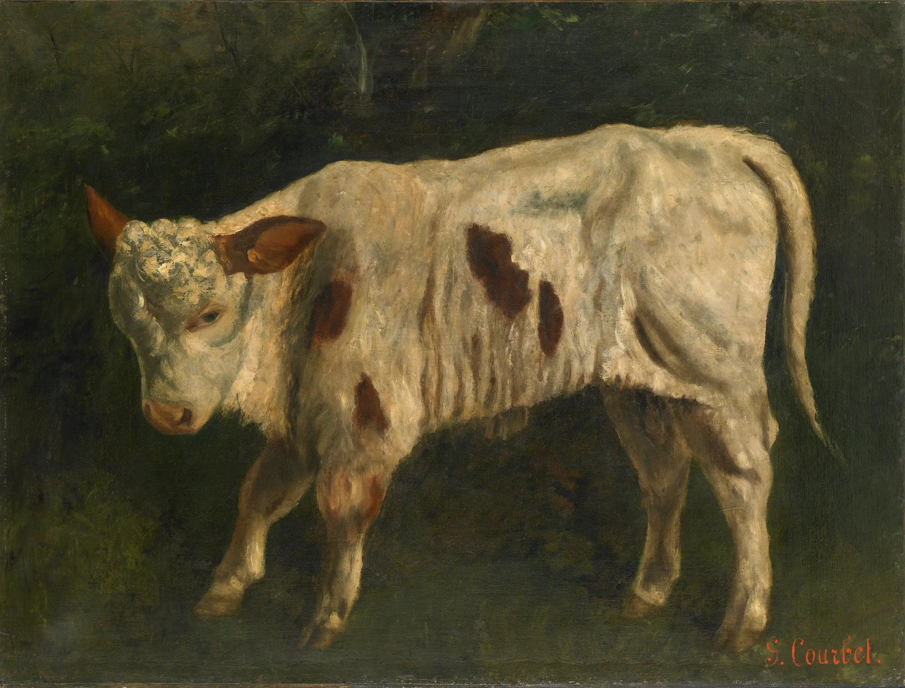 The White Calf