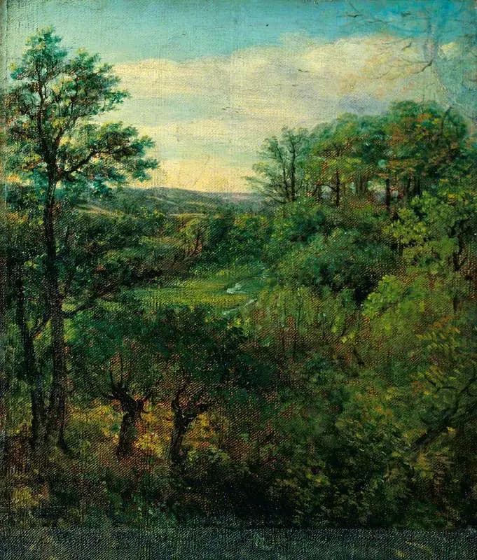 Valley scene with trees