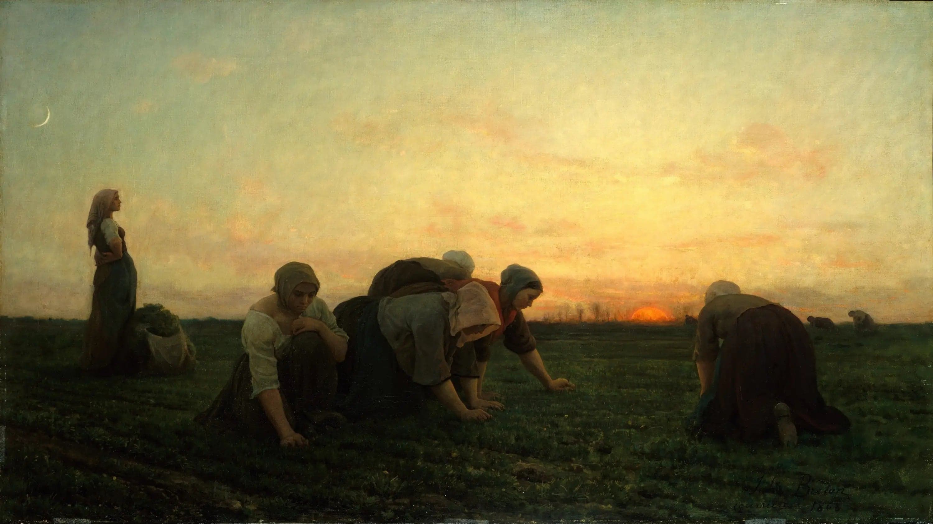 The Harvesters
