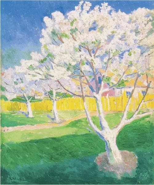 Flowering Apple Trees