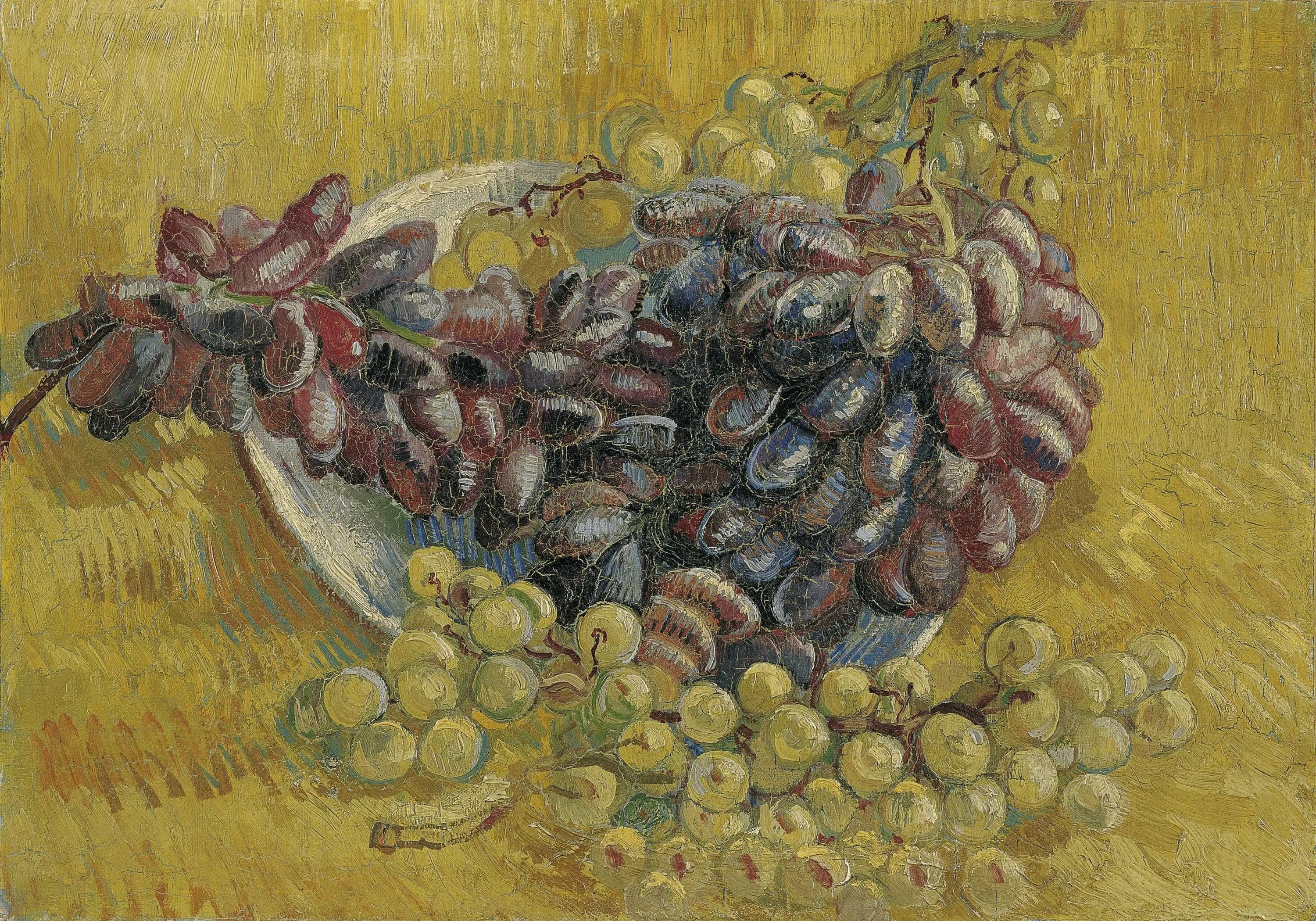 Grapes