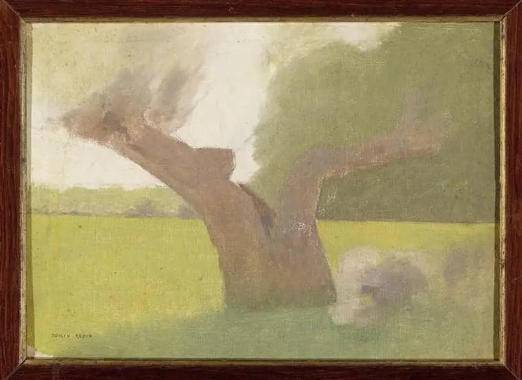 Old Tree in a Meadow