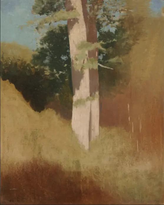 Trees in the blue sky