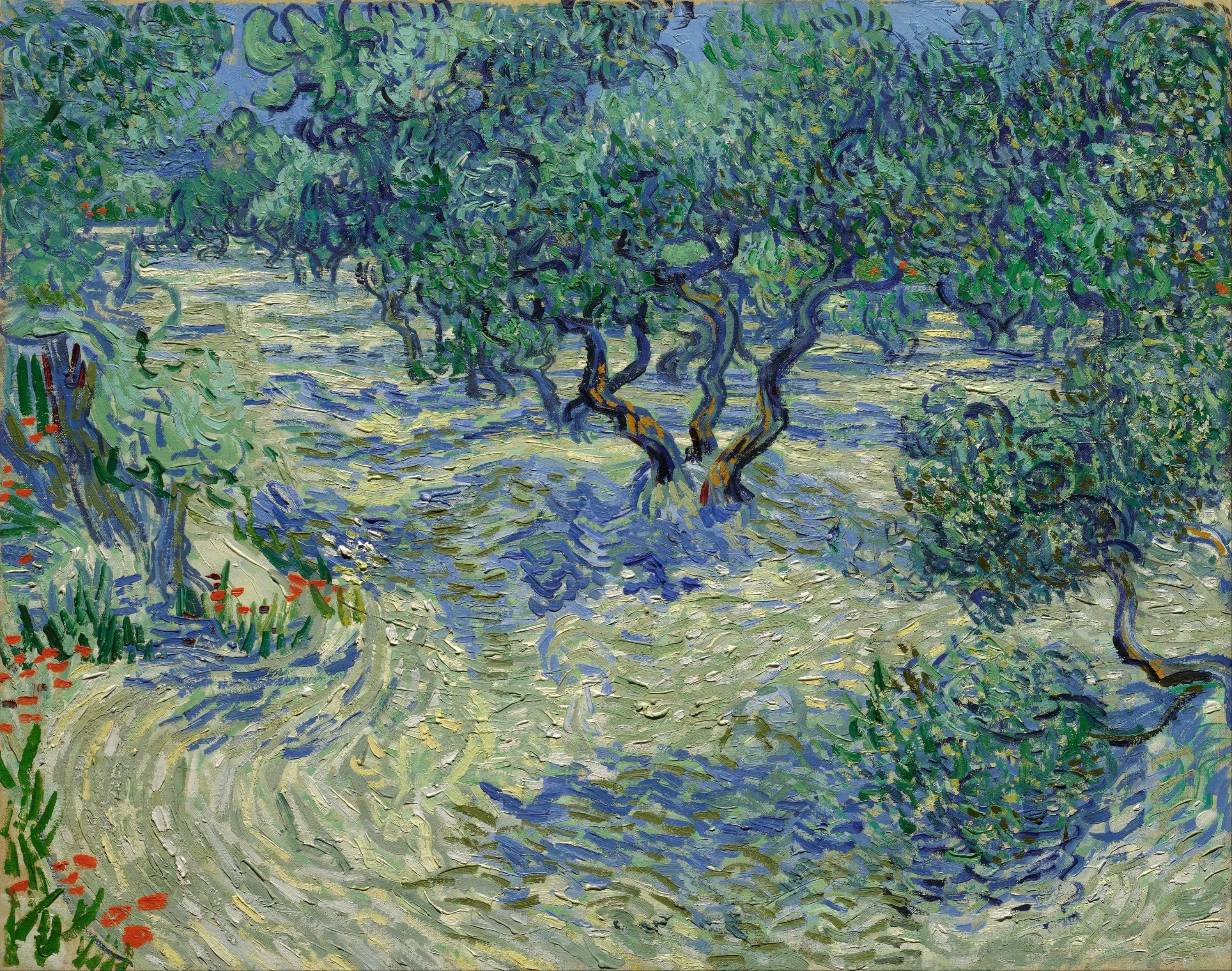 Olive Grove