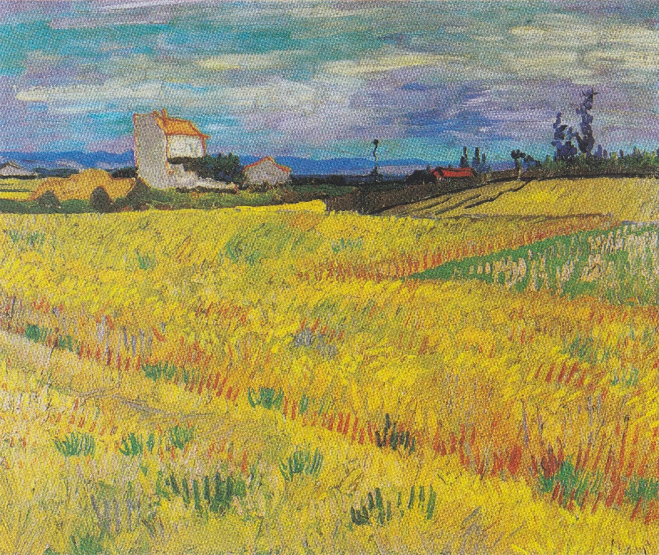 Wheat Field