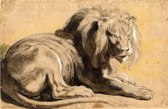 Lion