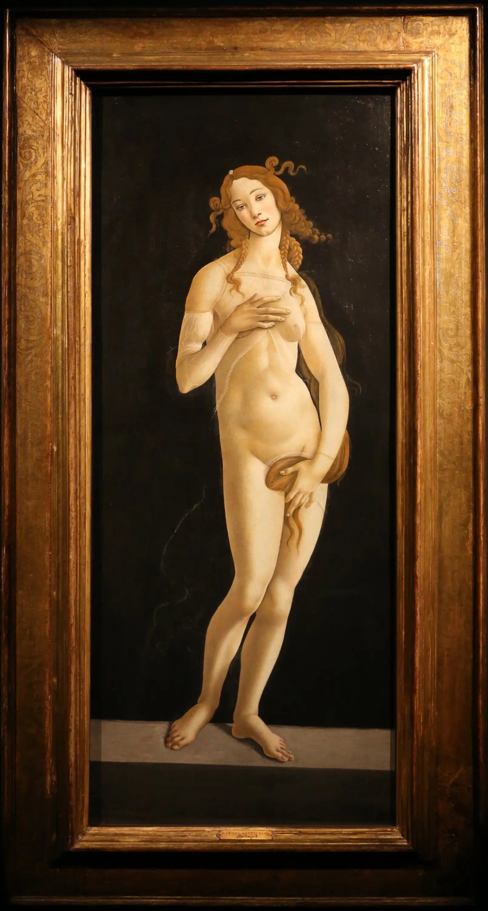 Modest Venus