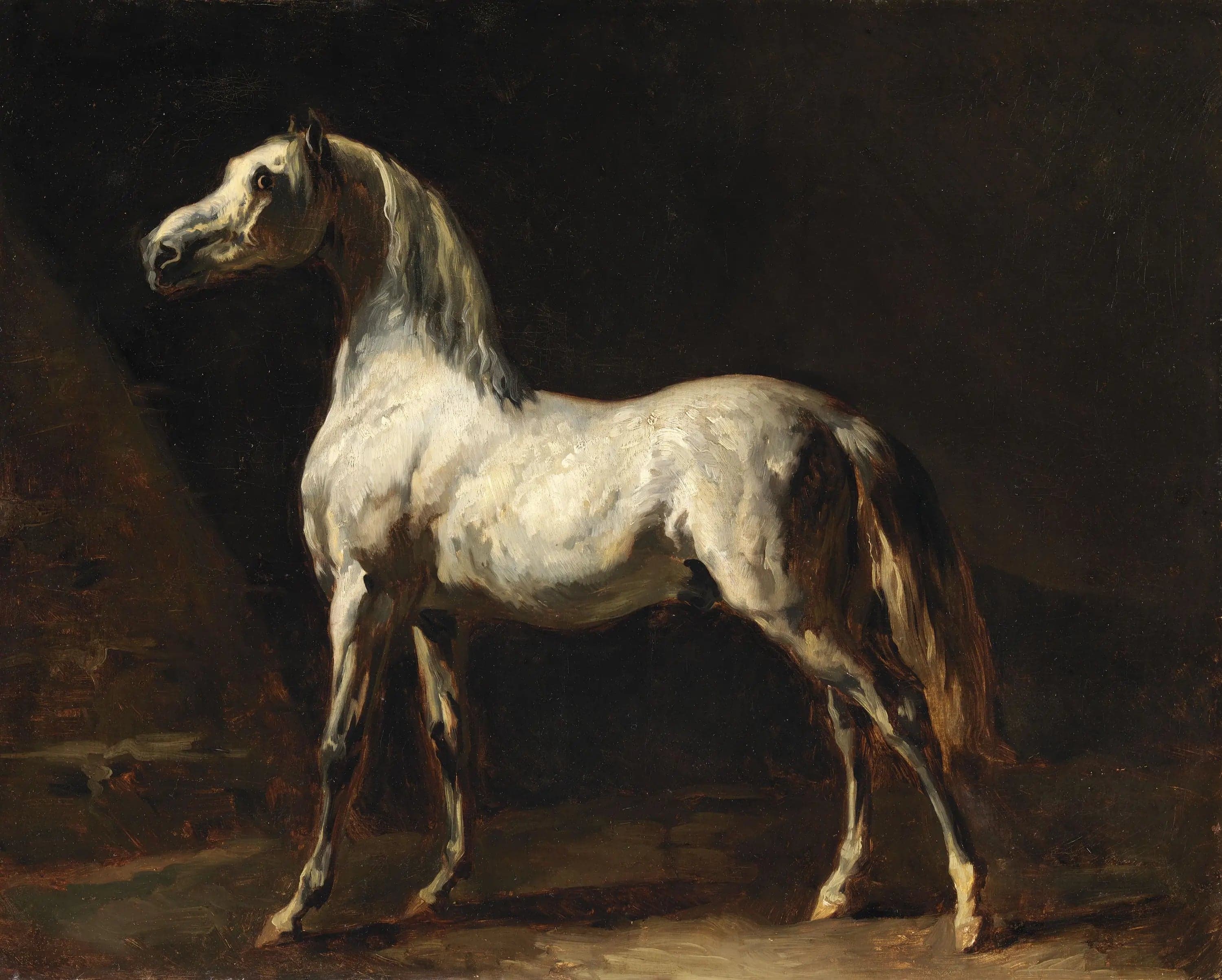 A Horse