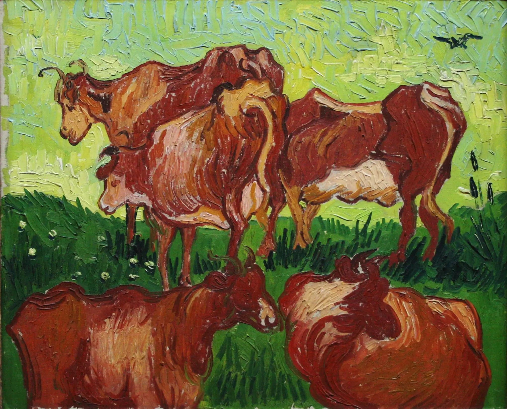 The Cows