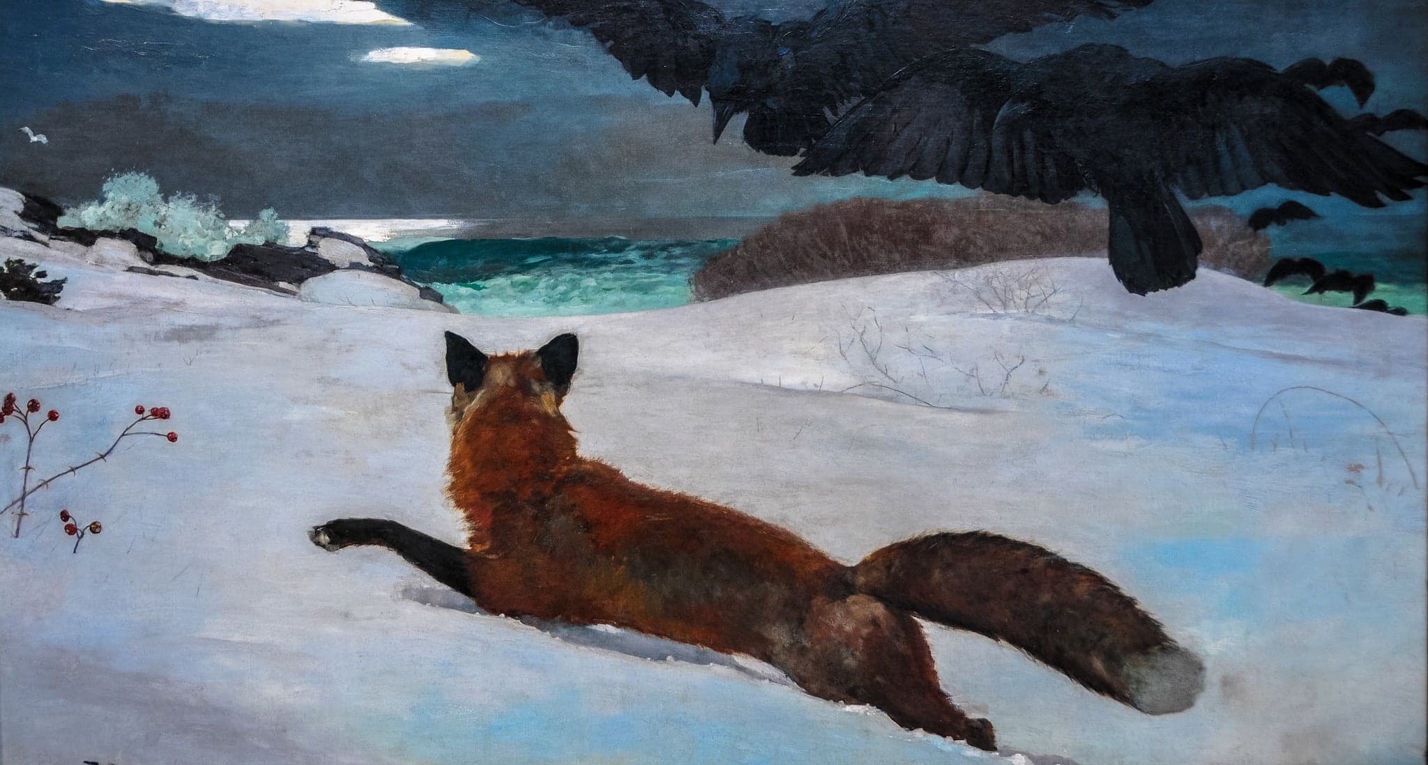 La Chasse au renard