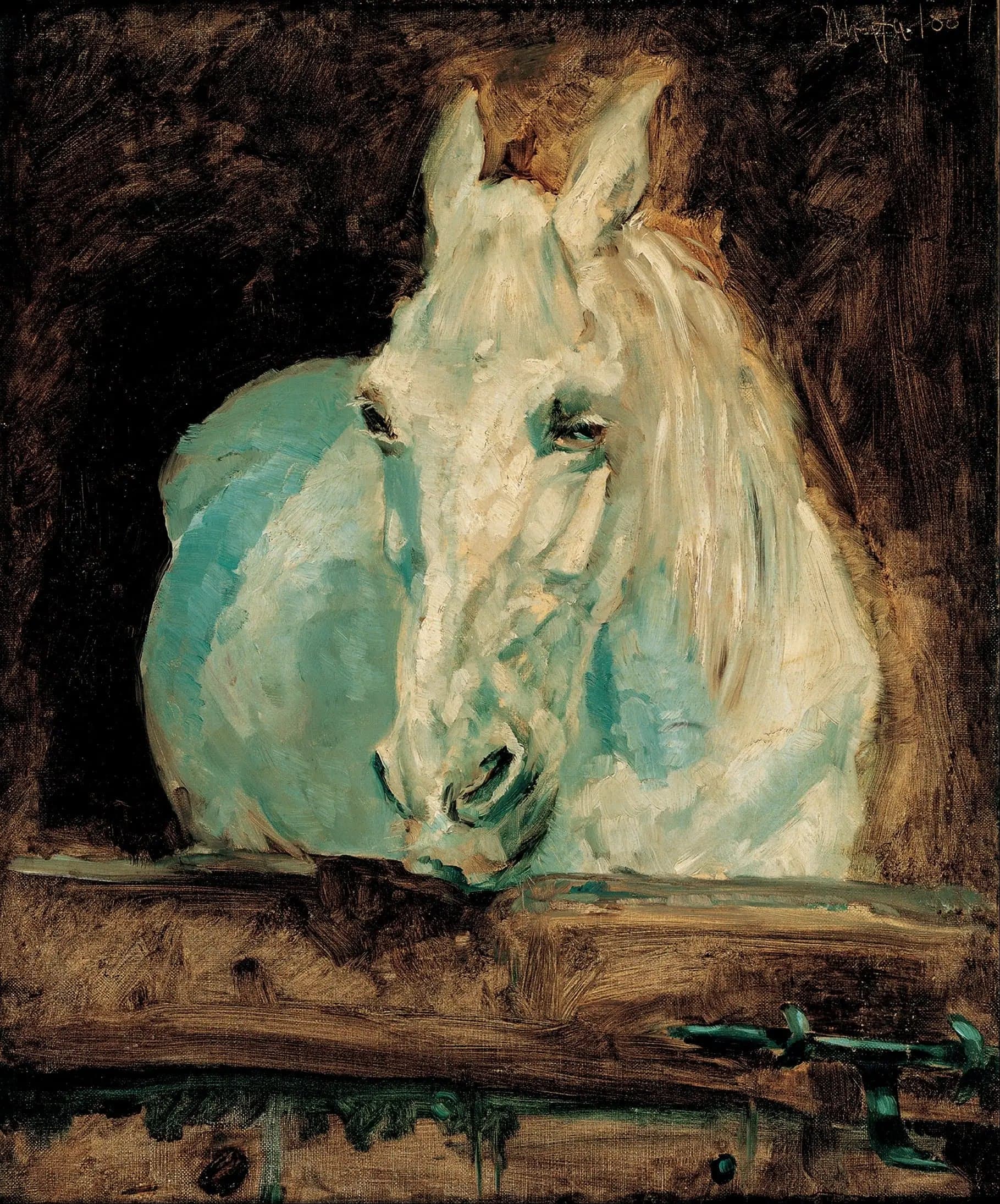 The White Horse "Gazelle" - Henri de Toulouse