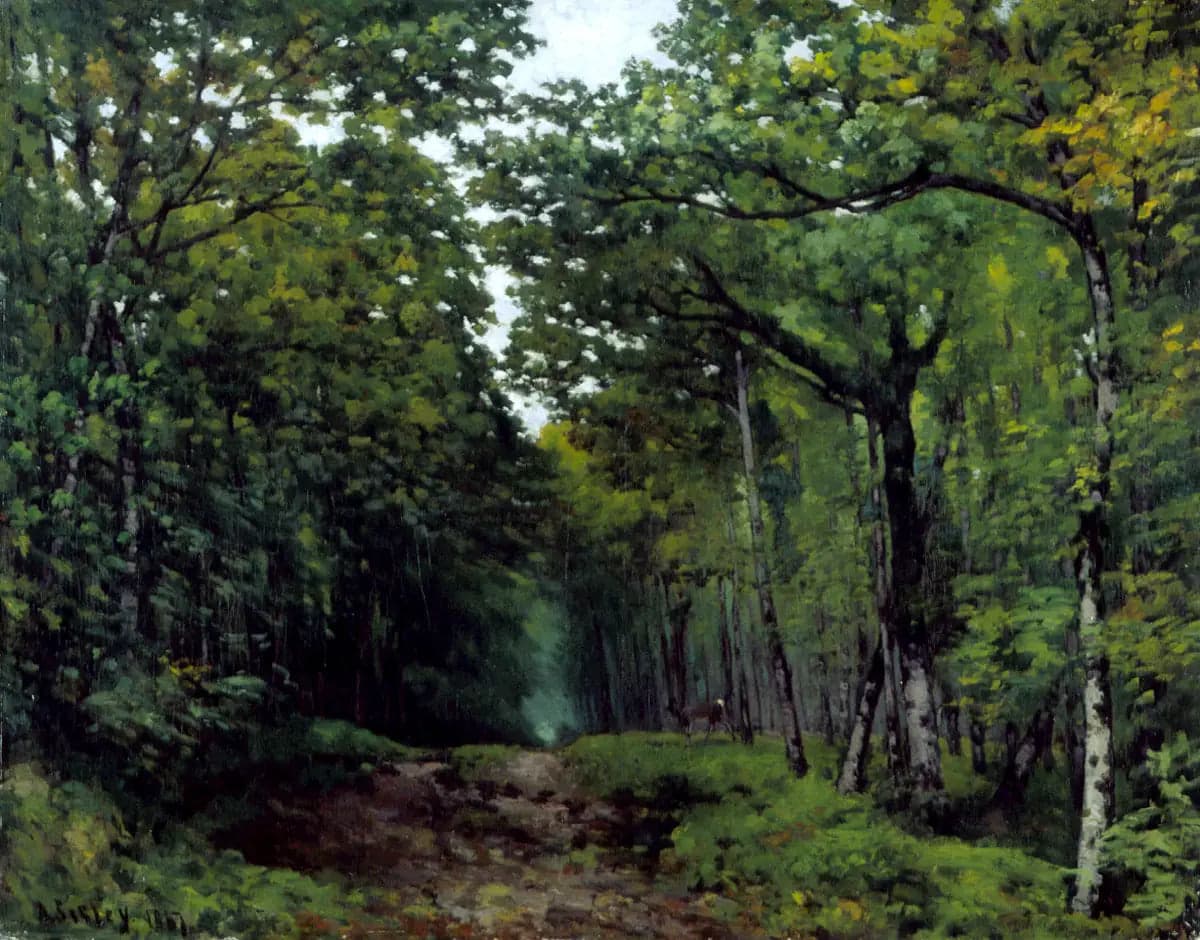 Chestnut Tree Avenue near La Celle Saint-Cloud