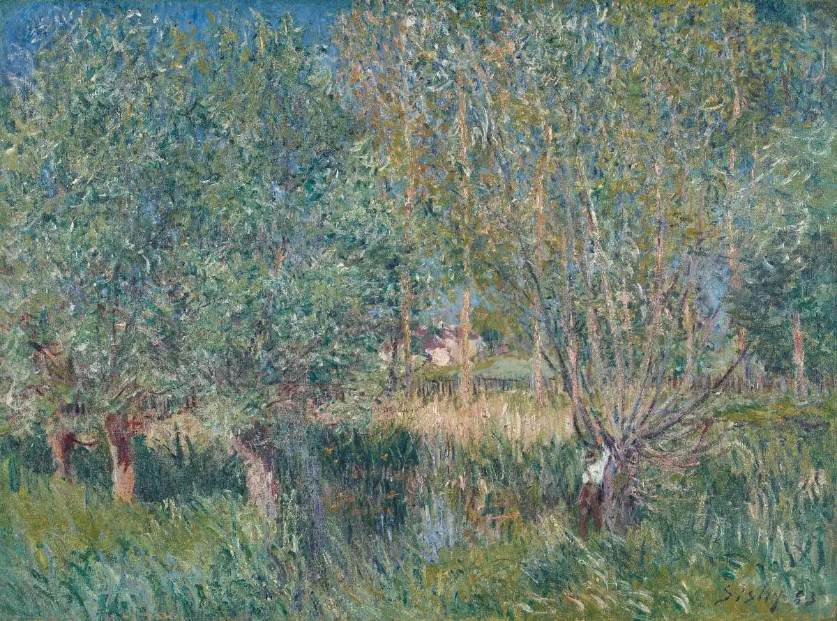 Willows on the Banks of the Orvanne
