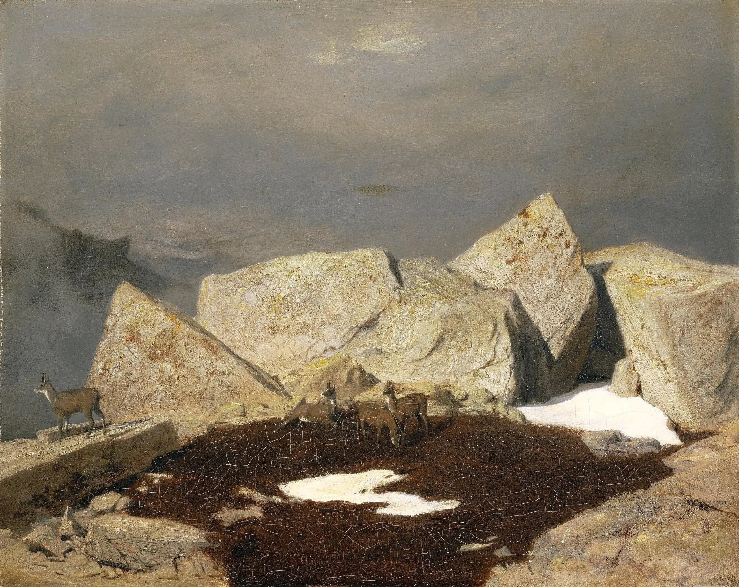 Mountain landscape with chamois