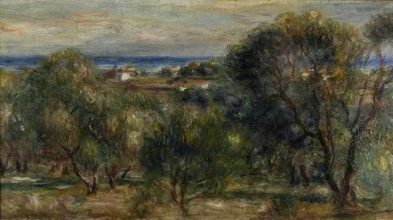 Olive Trees, Cagnes - Pierre