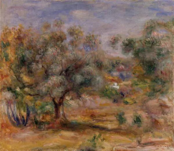 Olive Trees in the Garden of Collettes - Pierre