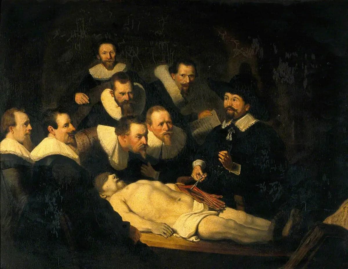 The Anatomy of Dr. Nicolaes Tulp